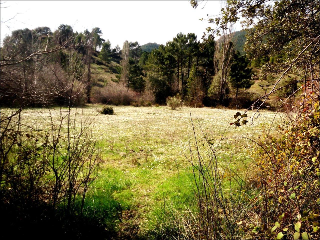 Riópar Casas Rurales Picos Del Oso المظهر الخارجي الصورة