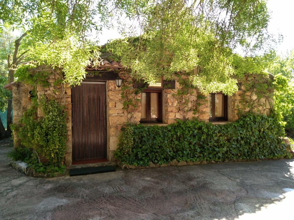 Riópar Casas Rurales Picos Del Oso المظهر الخارجي الصورة