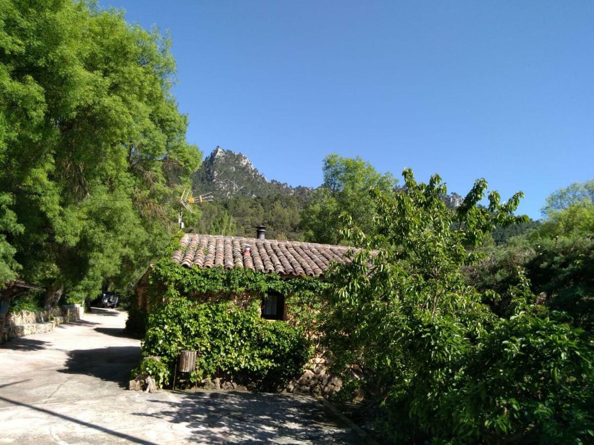 Riópar Casas Rurales Picos Del Oso المظهر الخارجي الصورة